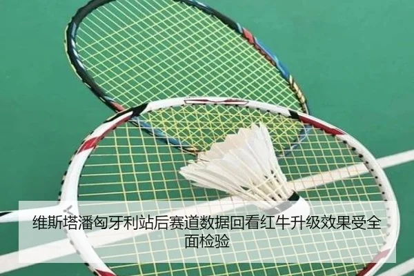 维斯塔潘匈牙利站后赛道数据回看红牛升级效果受全面检验